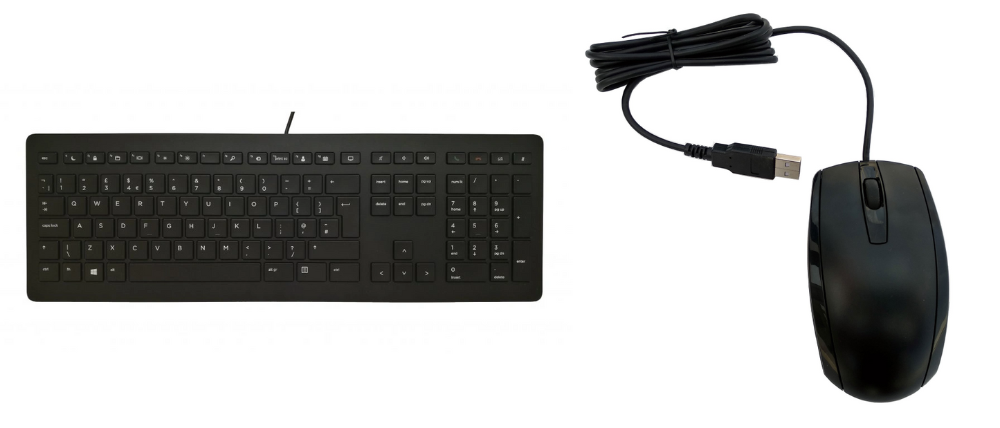 HP Slim USB Keyboard + HP USB Wired Mouse Bundle